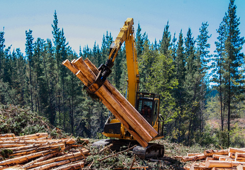 Forestry a large yellow machine in a forest